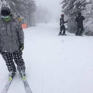 Meet your Posher, Corey